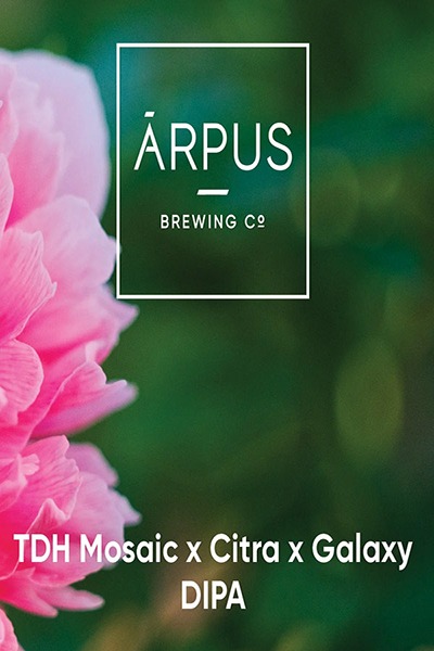 Beer Poster